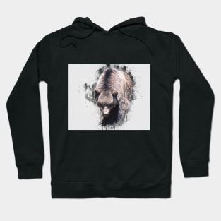 Brown Bear Animal Wild Forest Jungle Nature_ Hoodie